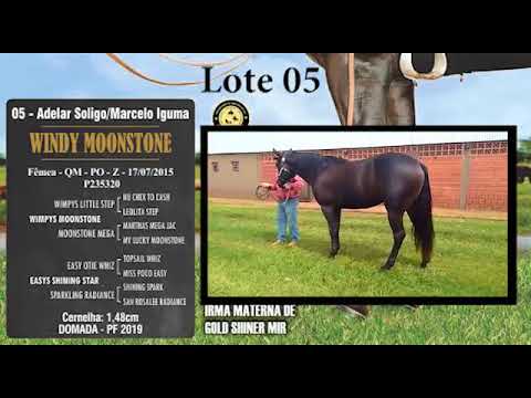 lote 05 - WINDY MOONSTONE
