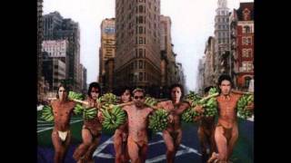 alice donut - insane