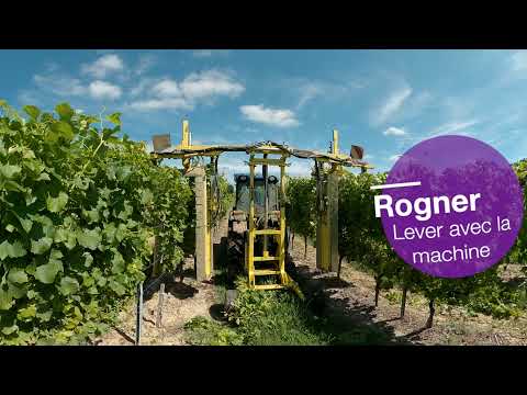 Vigneron·ne