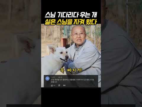 스님 기다리다 우는 개 실은 스님을 지켜 왔다