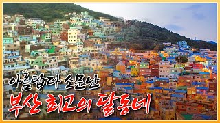 甘川文化村、韓国のマチュピチュ、避難民が集まって暮らした釜山の山腹村の中で最も美しいと噂される！パステル調の魅力的な村の誕生ストーリー [フォトエッセイ路地] 20091012