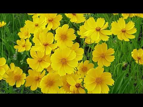 Every Brilliant Thing at Open Stage | September 3-26