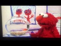 Elmo S World Sleep Intro All Day With Elmo Version