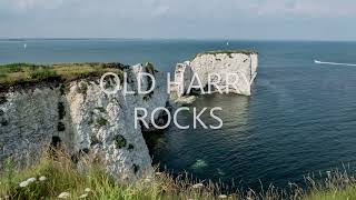 Holiday apartments in Dorset