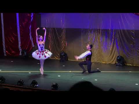 Pdd Harlequinade
