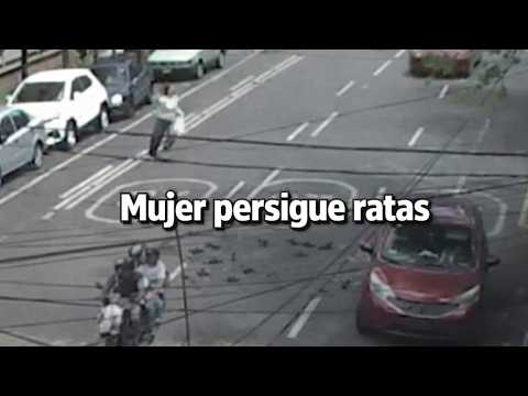 Camarachota Mujer corretea ratas