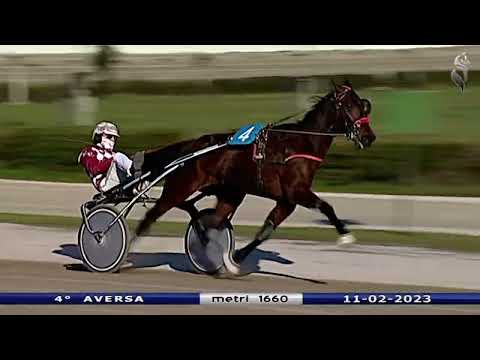 Aversa trotto 11 Febbraio 2023 - 4° Corsa