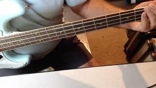 Two Pina Coladas (Bass Cover)