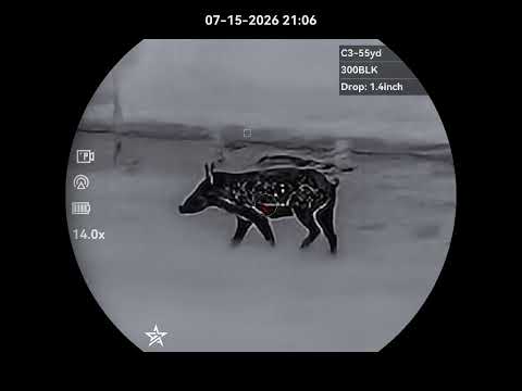 7mm-08 CHAMPION?! Hornady American Whitetail Hunting Ammo Test