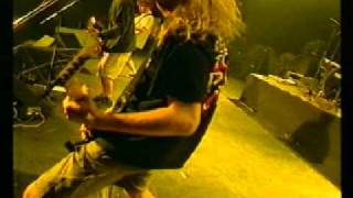 Cadaveres de Tortugas - Pintar de Verde