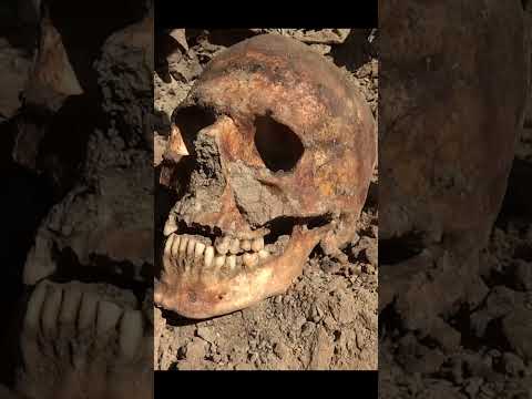 Forgotten under trash in a mass grave - WWII Stalingrad German soldier exhumations
