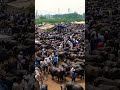 Madhiyai Pashu Mandi