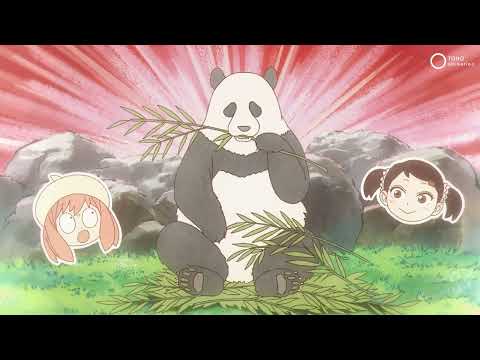 MISSION: 48  | SPY x FAMILY Season 3