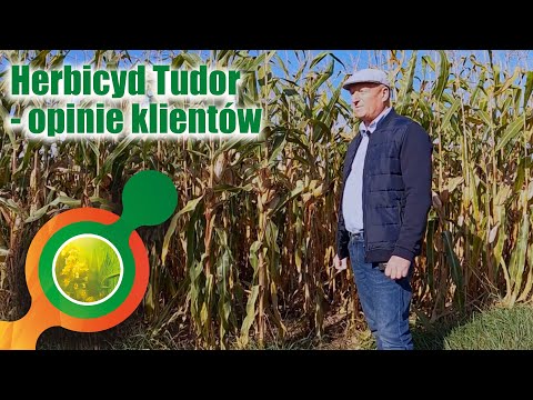 Nowy herbicyd do zwalczania chwastów w kukurydzy- TUDOR 114 OD