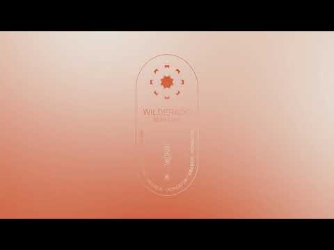 Wilderado - "Surefire" (Official Audio)