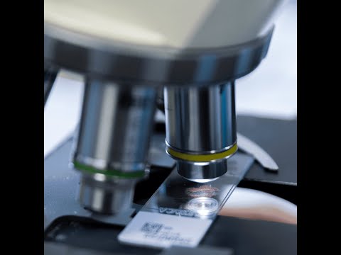 I Linfomi cutanei: categorie e caratteristiche