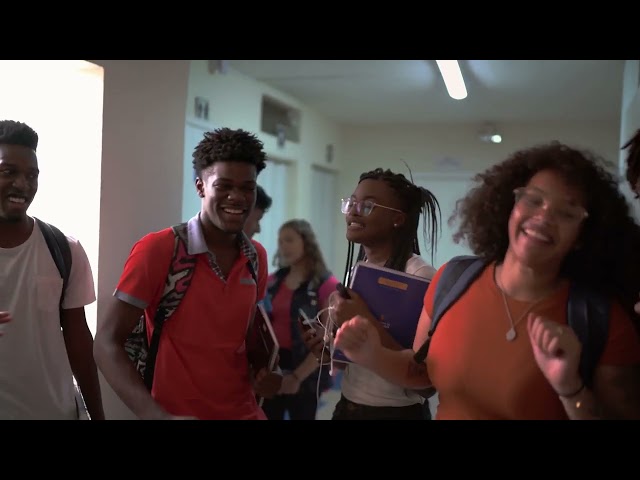 About Imagine Learning