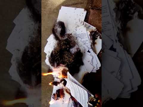 197A14. Cursed Hair 7.12.18