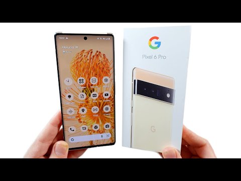 Pixel 6 Pro Full Review!