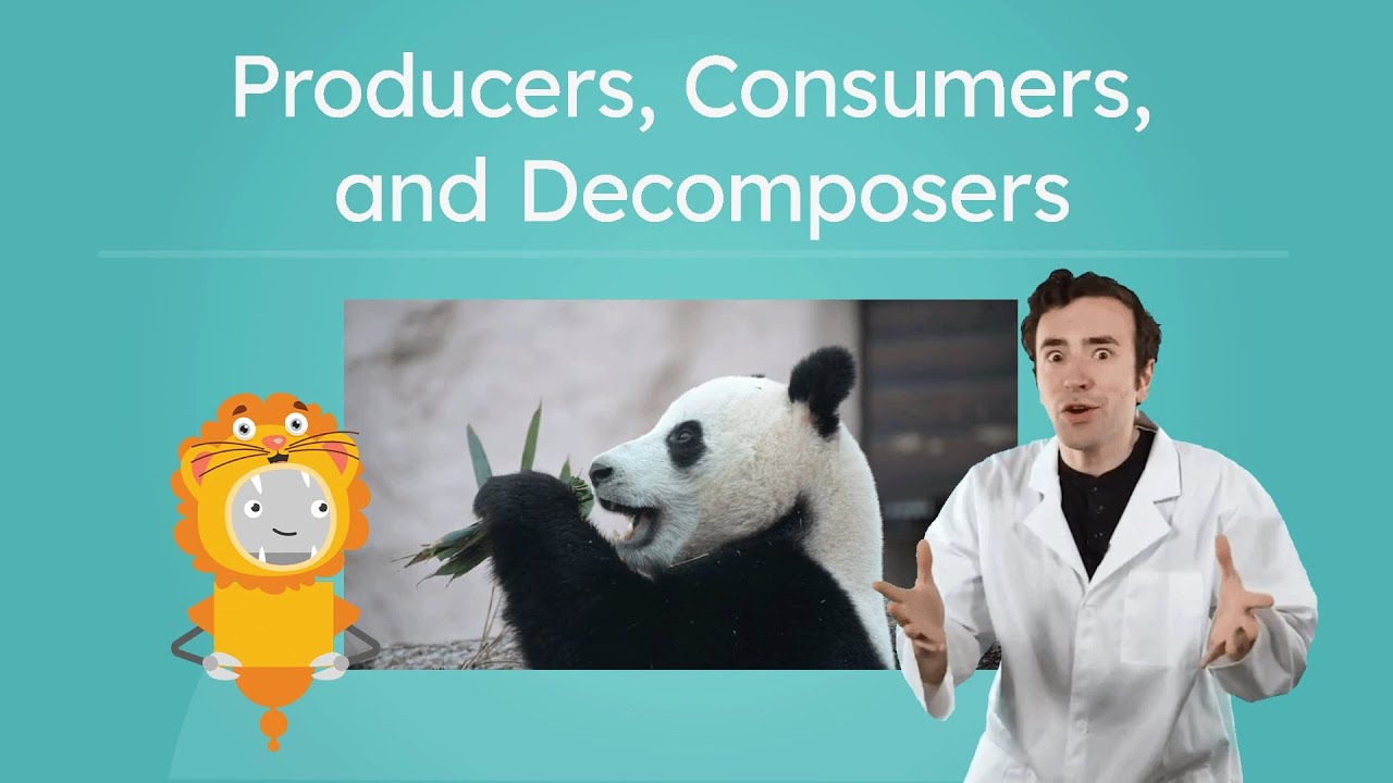 Producers, Consumers, and Decomposers - General Science for Kids!