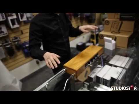Immagine Moog Etherwave Standard Theremin 2009 - Present - Ash - 4