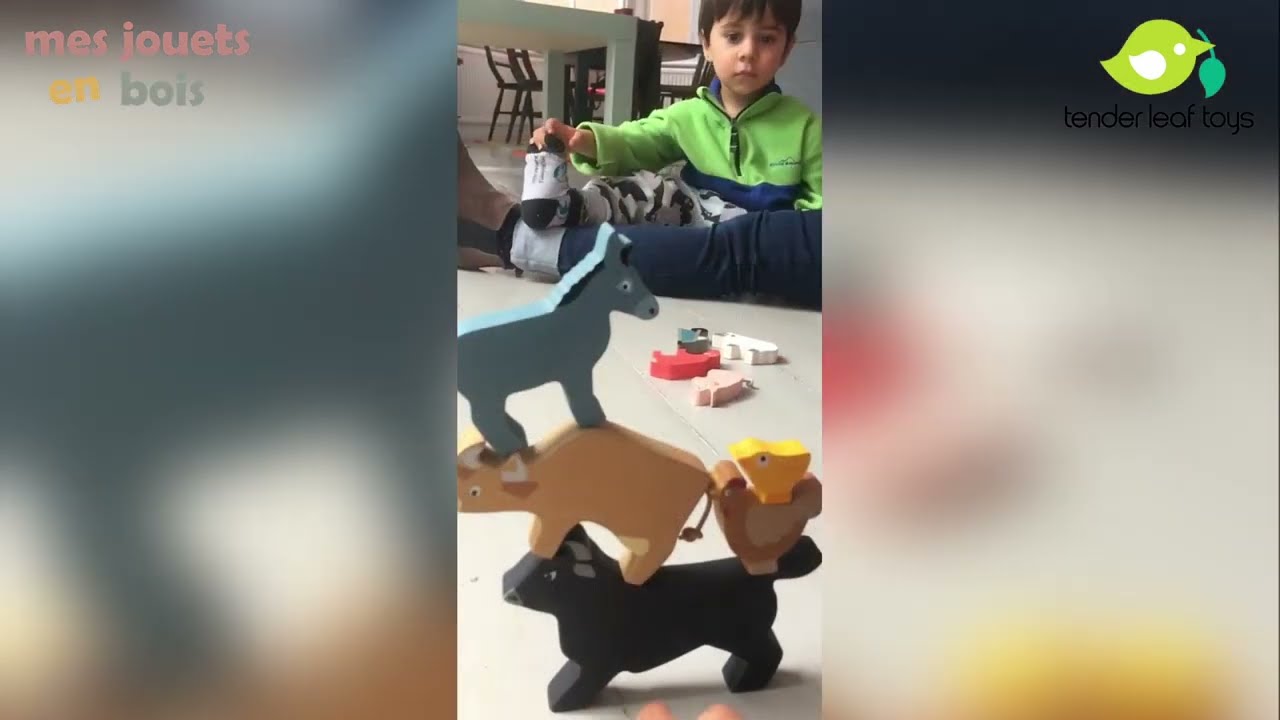 Mes petits animaux de la ferme empilables en bois pour enfant