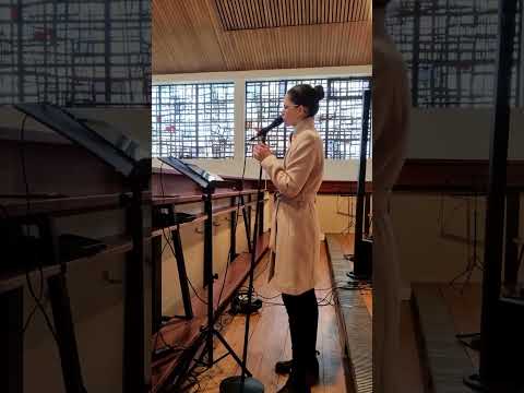 Tanja Hiller - Hochzeitssängerin - Das Beste (Cover)