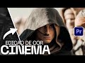 Como Fazer LOOK CINEMATOGRAFICO No PREMIERE PRO Tutorial LUTS GRÁTIS