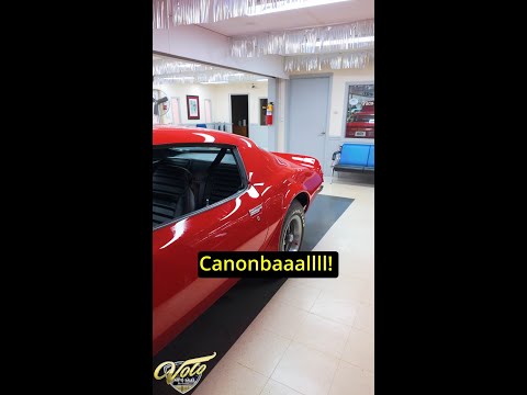 1974 Pontiac Firebird Trans Am (CC-1880853) for sale in Volo, Illinois