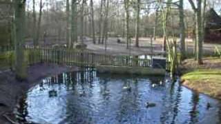 preview picture of video '2009  Donkere Duinen in Den Helder'