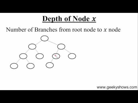 97 Depth of Tree and Node Hindi