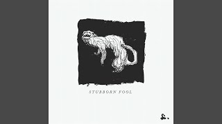 Stubborn Fool