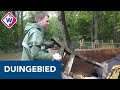 Boswachter baalt: vernieling en branden in kwetsbaar duingebied - OMROEP WEST