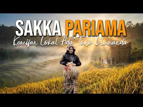 Sakka Pariama: Kearifan Leluhur Mandar Menjaga Padi dan Alam | Dokumenter Budaya Sulawesi