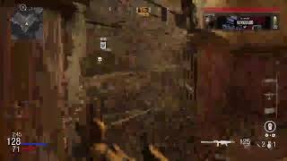 [COD:V]LMGレベル上げ［もち］