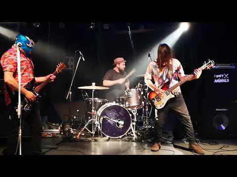 Gabriel Thomaz Trio - Bahamas