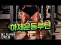 [김성환 매일운동] DAY7 하체운동 / Builder Kim Leg Day