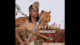 Download lagu 8. Andy Muridzo - Ngozi Yerombe mp3