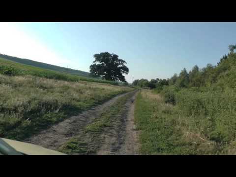 ARBORI BĂTRÂNI - Florin Ghenade - Spre Stejarul din Corlățești