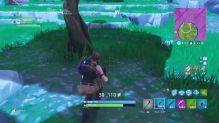 デイリーをこなす　最強の1100敗3勝がお届けする　FORTNITE