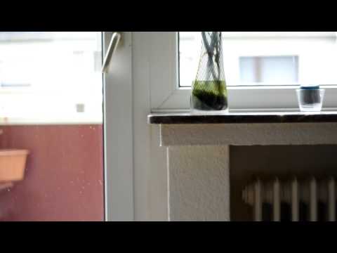 Stativ Test Bilora Perfect Pro a324