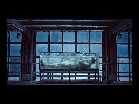 Szczyl x Fukaj - Kaptur ◾️ SBM Starter ◾️ cz.1