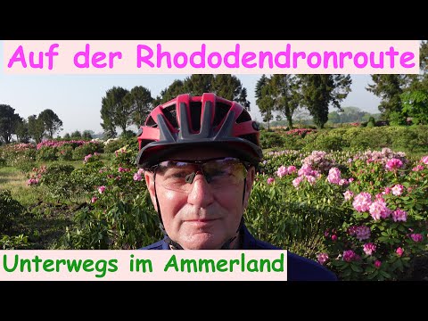 Auf der Rhododendronroute - Unterwegs im Ammerland