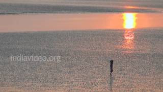 Matla River in the Evening 