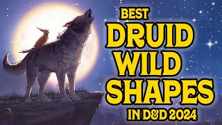 The Best Druid Wild Shapes in D&D 2024