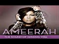 Wildboyz Feat. Ameerah - The Sound Of Missing ...