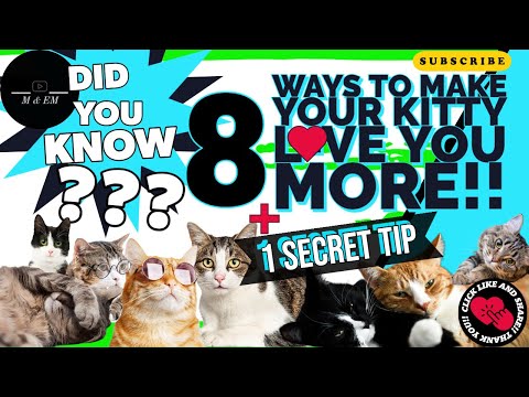 8 amazing ways to make your cat love you more + 1 secret tip