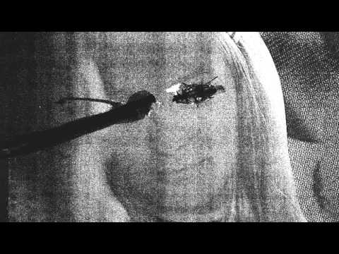 04 Altar of Flies - Nervous Loops [Peripheral Records]