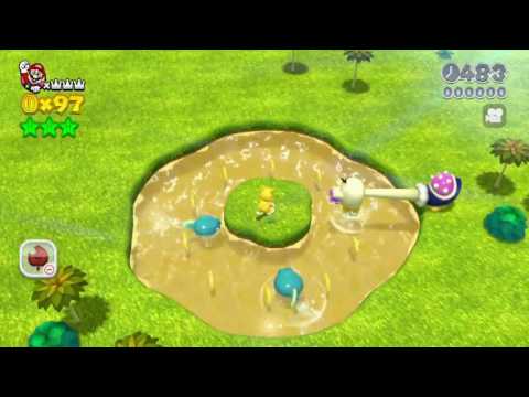 Super Mario 3D World 11-5 Speedrun - Time: 40