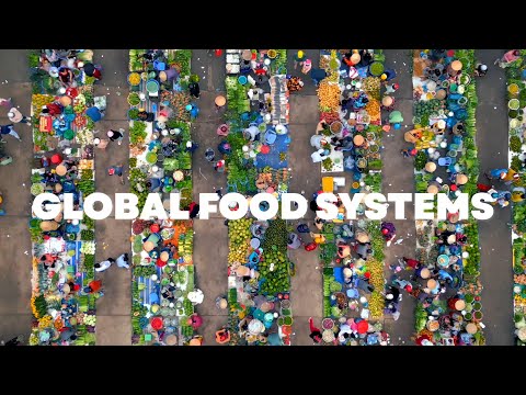 Food Advocacy: A Bite-Sized Revolution | Golden Age